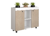 Mã sản phẩm: NTV1000-3T2